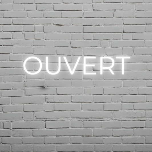 MODERN FRENCH OUVERT SIGN IN SIGN — LED NEON SIGN