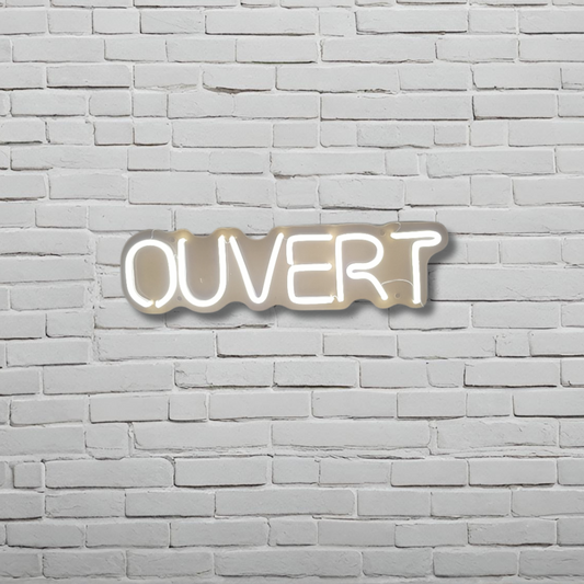 FRENCH OUVERT SIGN IN SIGN SCRIPE — LED NEON SIGN