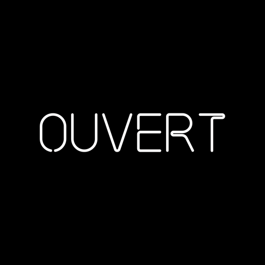 FRENCH OUVERT SIGN IN SIGN SCRIPE — LED NEON SIGN