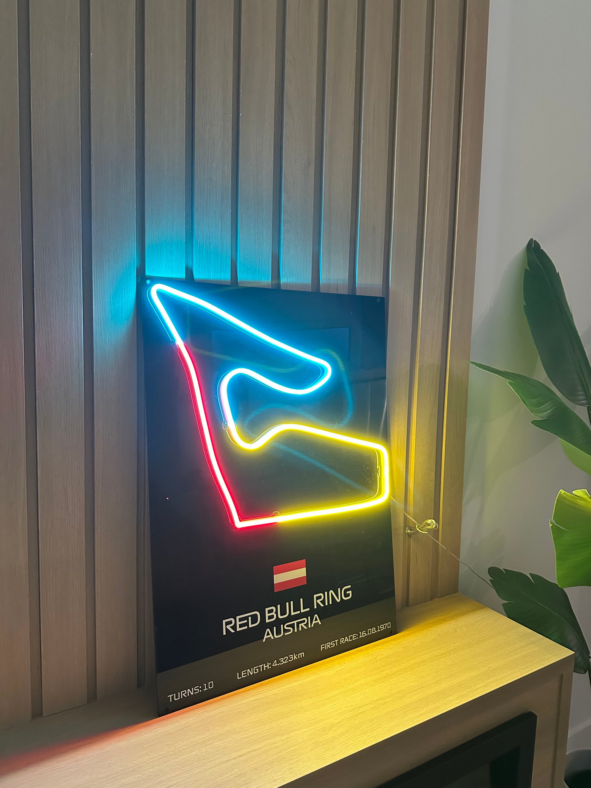 Neon sign shaped like a racing track on a wall with a plant above