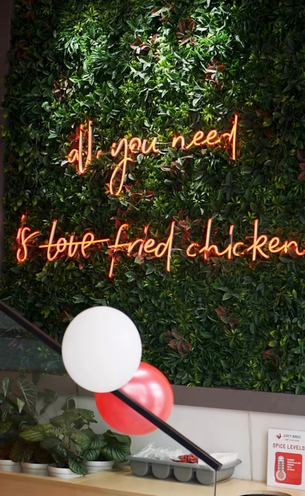 ALL YOU NEED IS CHICKEN  — LED NEON SIGN