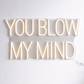 Neon sign with the text 'YOU BLOW MY MIND' for hair salon